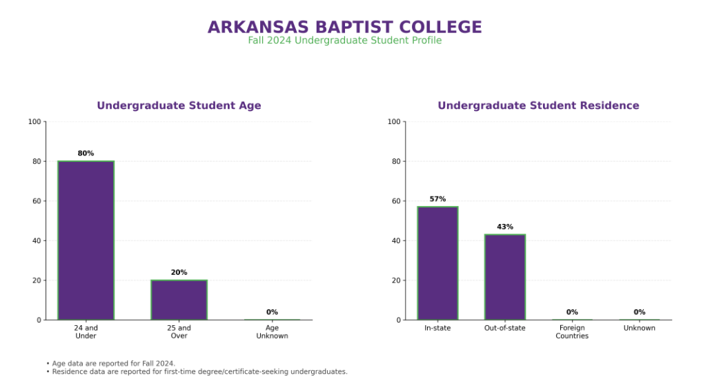 Fall 2024 Undergraduate Student Profile showing student age (80% 24 and under, 20% 25 and over) and residence (57% in-state, 43% out-of-state).